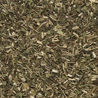 Echinacea Tea 
