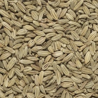 Fennel Seed Tea 