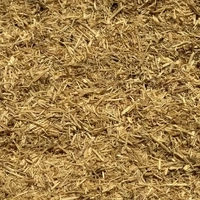 Ginseng Root, Siberian Tea 