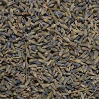 Lavender Tea 
