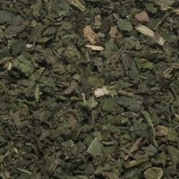 Nettle Tea 