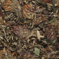 Red Clover Tea 