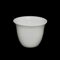 Fine Porcelain Tea Cup