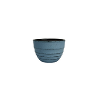 Cast Iron Cup Lined