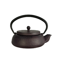 Cast Iron Teapot Purple Flat No Trivet