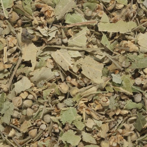 Lime Blossom Tea 