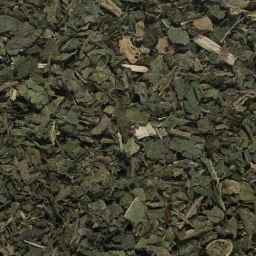 Nettle Tea 