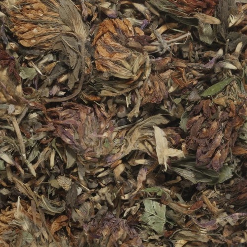 Red Clover Tea 